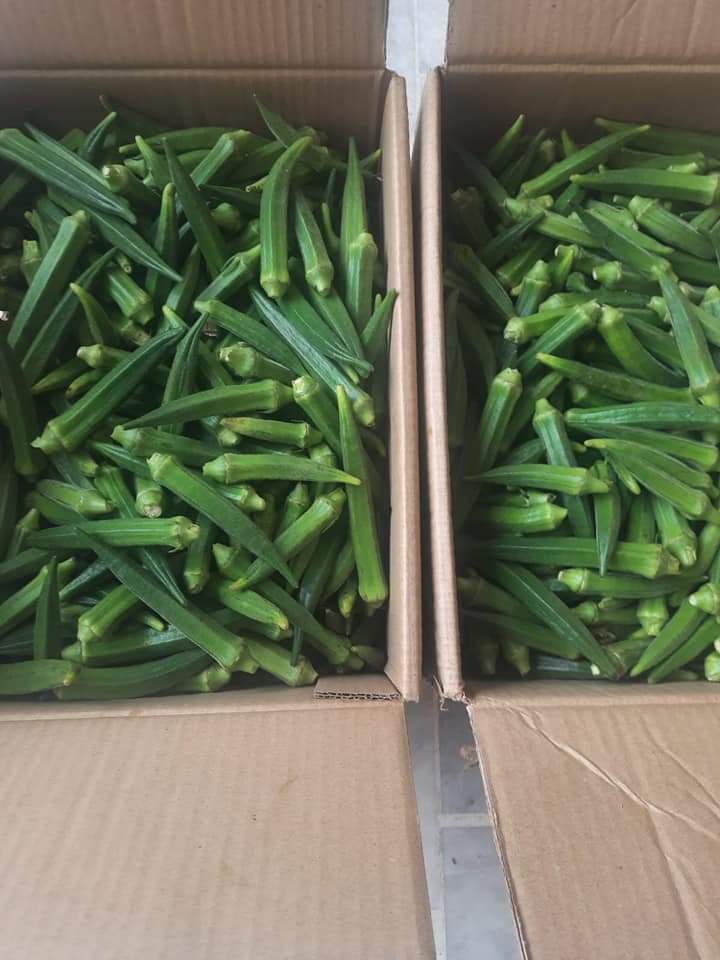 Farm-Gate Freshness