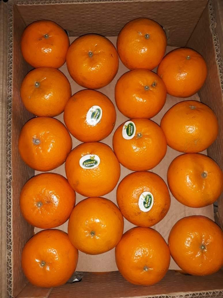 Export Quality Packaging